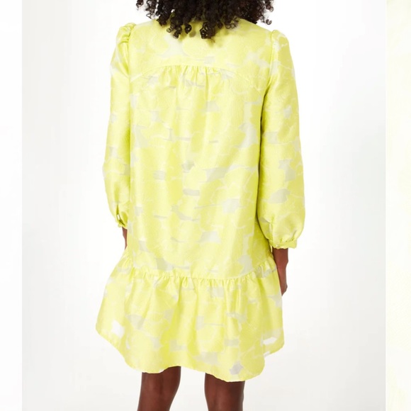 Tuckernuck Citron Fil Coupe Palmerston Dress Sizes various NWT - Picture 3 of 7